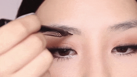 TipBrow Cejas Perfectas