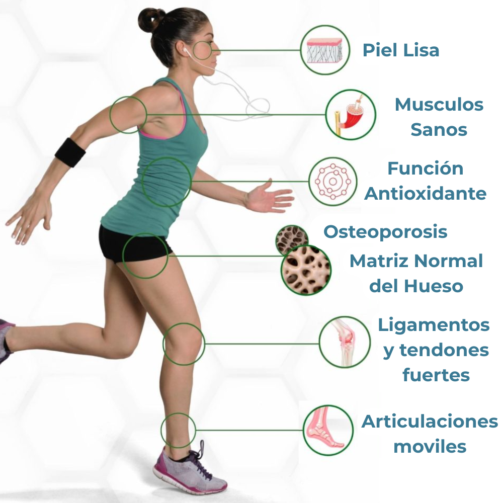 Colageno hidrolizados con Biotina y Curcuma