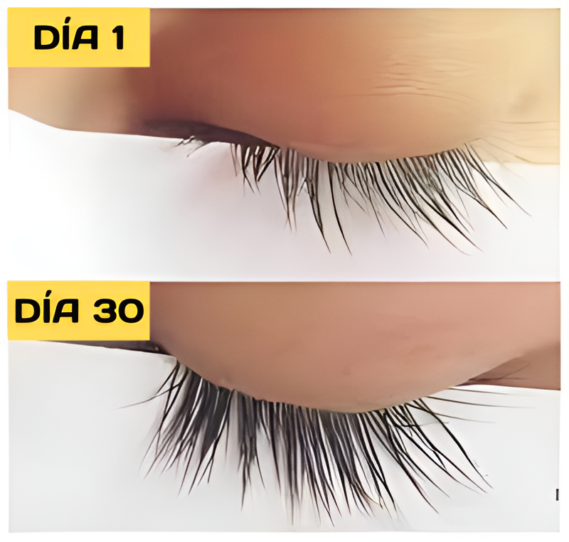 Pestañas Perfectas